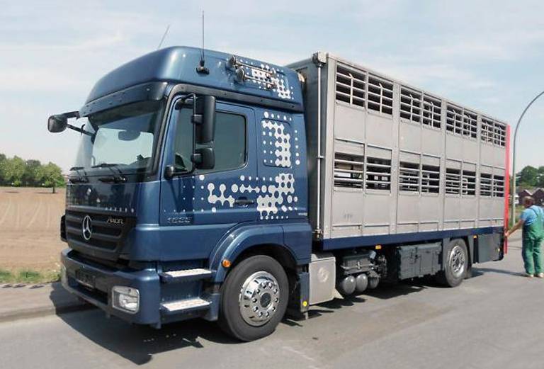 Сколько стоит транспортировать лошадь недорого из Белорецка в Краснодар